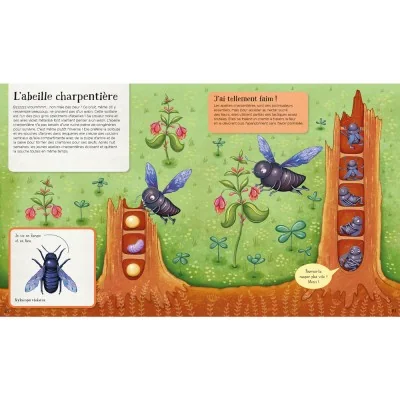 Extrait du livre "Le monde des abeilles et leurs familles" consacré à l’abeille charpentière et aux abeilles solitaires