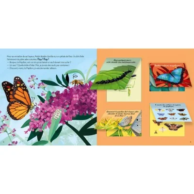 Extrait intérieur du livre Les animaux du jardin avec Petite Abeille consacré au papillon et aux flaps documentaires