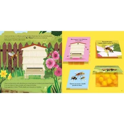 Extrait intérieur du livre Les animaux du jardin avec Petite Abeille avec la ruche et les informations sur l’abeille