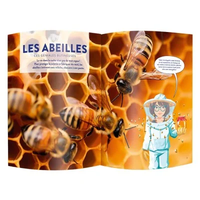 Intérieur du livre documentaire du Kit Pandacraft Les abeilles sur la ruche et les butineuses