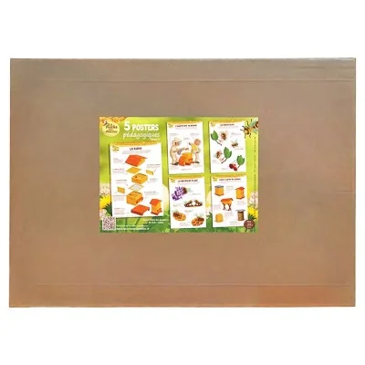 Étui carton rigide du kit de 5 posters pédagogiques La Ruche des Abeilles série 2 au format A3
