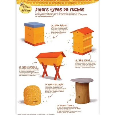 Poster Divers types de ruches La Ruche des Abeilles, support pédagogique sur les modèles de ruches
