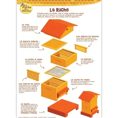 Poster La ruche La Ruche des Abeilles, affiche éducative sur les éléments d’une ruche