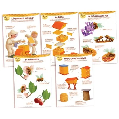 Kit de 5 posters pédagogiques série 2 La Ruche des Abeilles avec étui carton rigide et poster sur les ruches