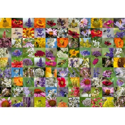 Illustration complète du puzzle 99 abeilles Ravensburger avec 99 photographies d’abeilles et de fleurs Illustration complète du puzzle 99 abeilles Ravensburger avec 99 photographies d’abeilles et de fleurs