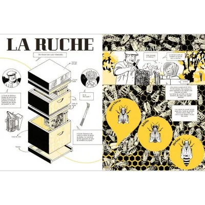 Les abeilles se cachent pour mourir -Présentation de la ruche, la colonie et les différents membres de la société des abeilles.