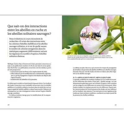 Extrait de Les super pouvoirs des abeilles : abeilles domestiques et sauvages