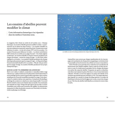 Extrait de Les super pouvoirs des abeilles : charges électriques des essaims