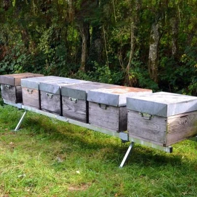 Support pour 6 ruches Support pour 6 ruches