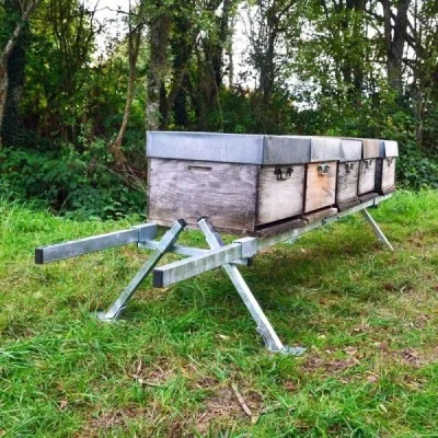 Support pour 6 ruches Support pour 6 ruches