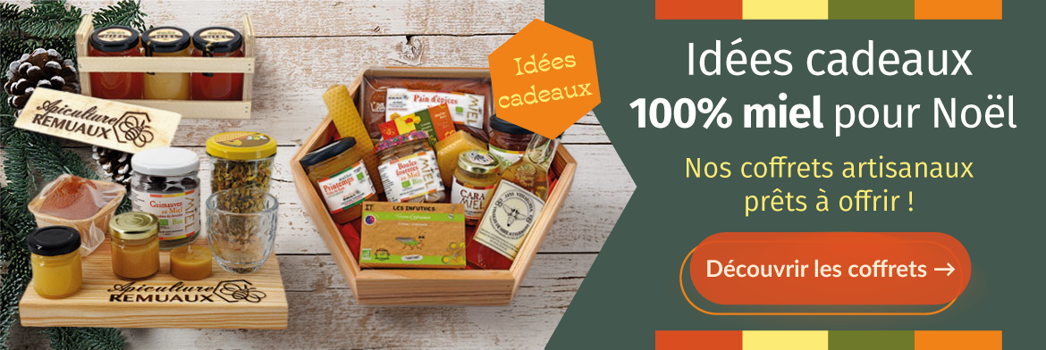 Bannière "Idées cadeaux" de Noël présentant les coffrets cadeaux Apiculture Remuaux : assortiments de miels bio, douceurs au miel et produits artisanaux.