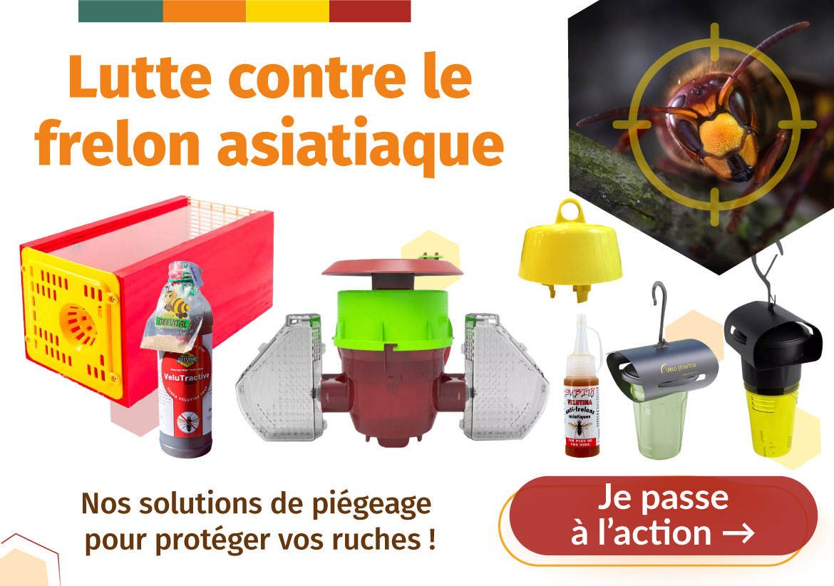 Luttez contre le frelon asiatique avec nos différentes solutions de piègage pour protéger vos ruches.