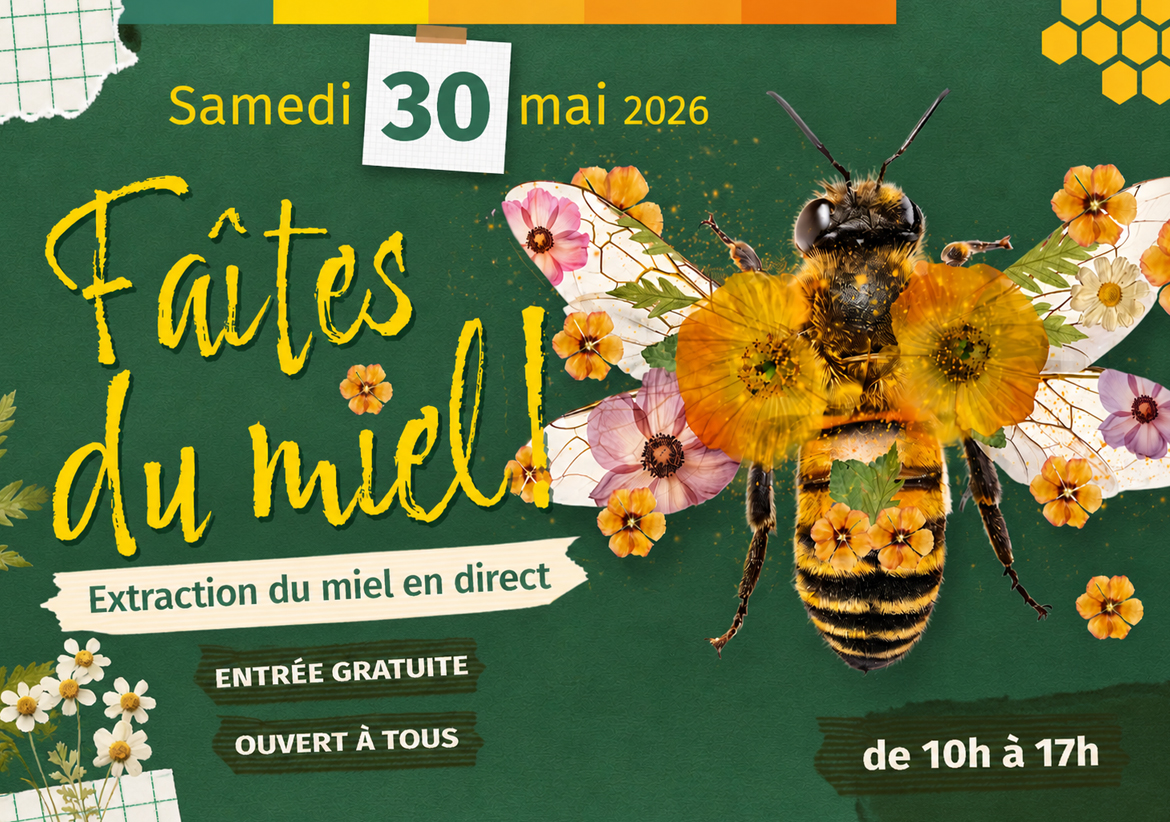 Venez participer à l'extraction du miel pendant notre Faites du Miel 2026