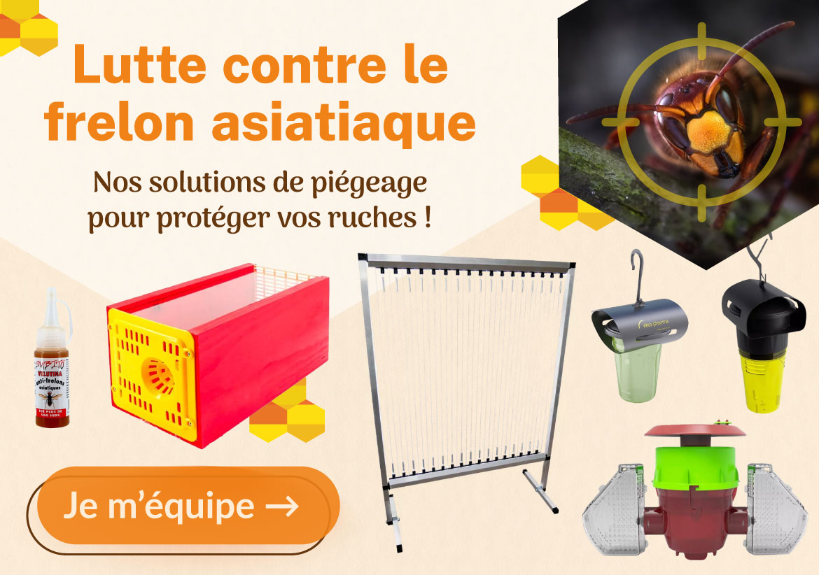 Luttez contre le frelon asiatique avec nos différentes solutions de piègage pour protéger vos ruches.