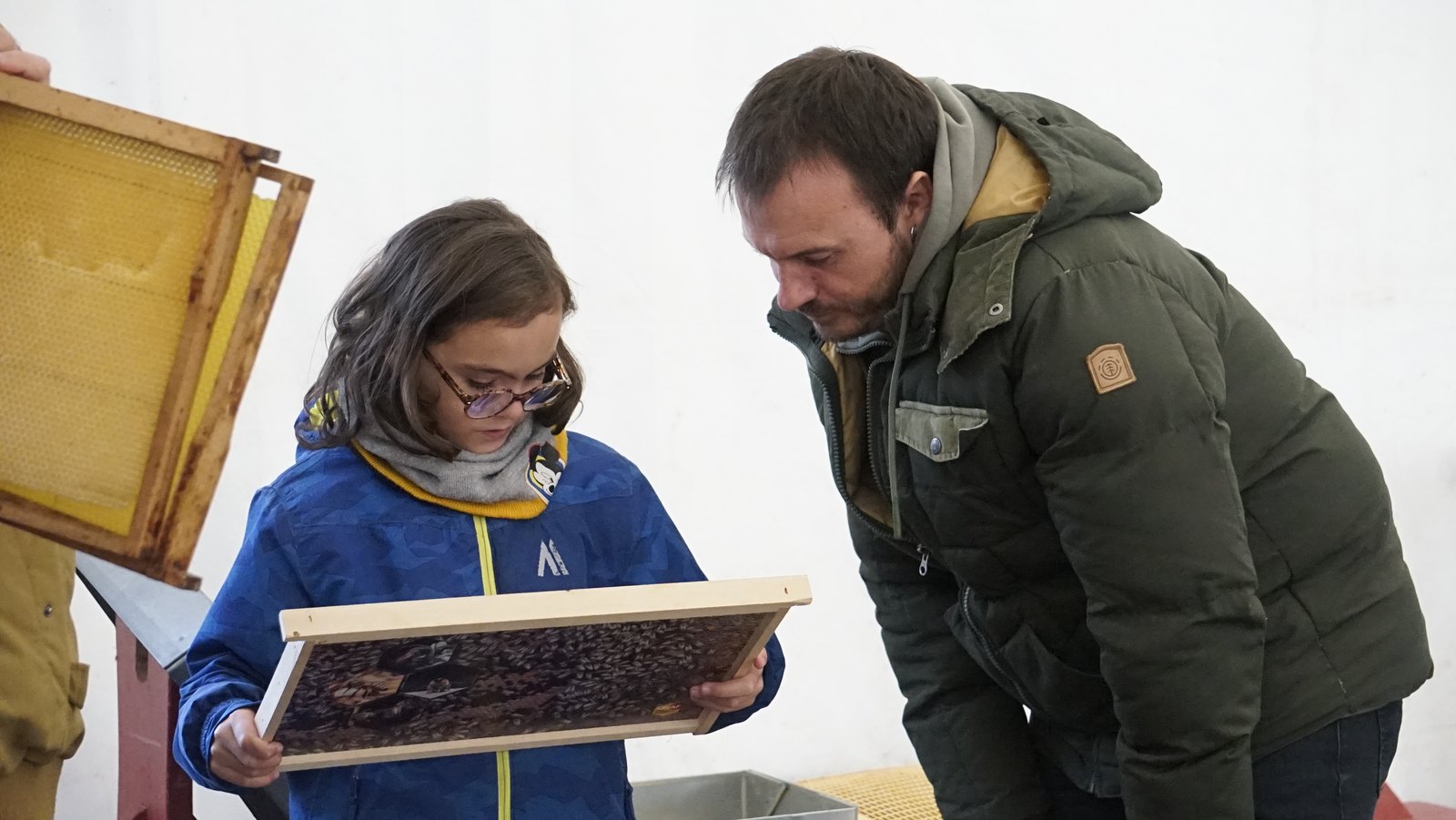 Une jeune visiteuse observe un cadre de ruche accompagné d’un adulte lors des portes ouvertes 2024
