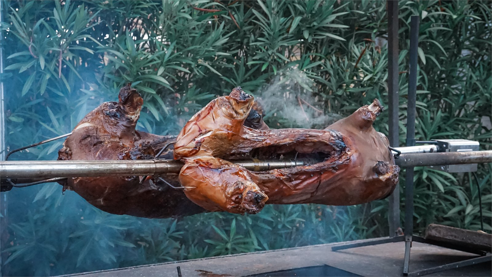 Cochon rôti à la broche pour le déjeuner des portes ouvertes 2025