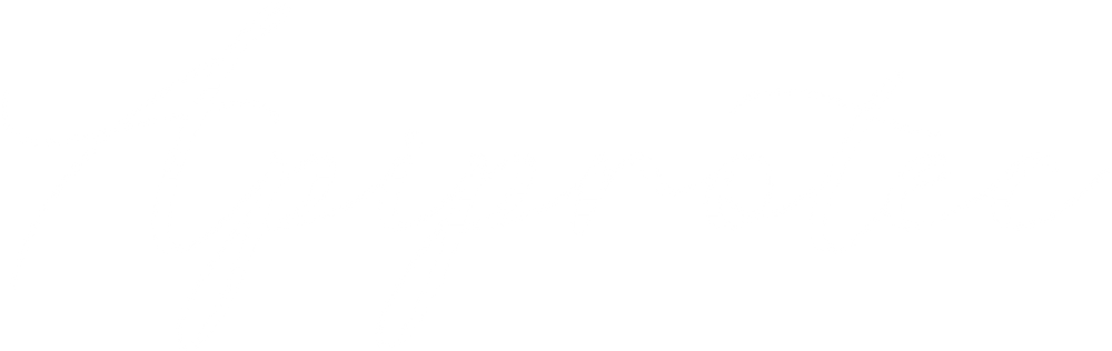 Logo ApiProtect