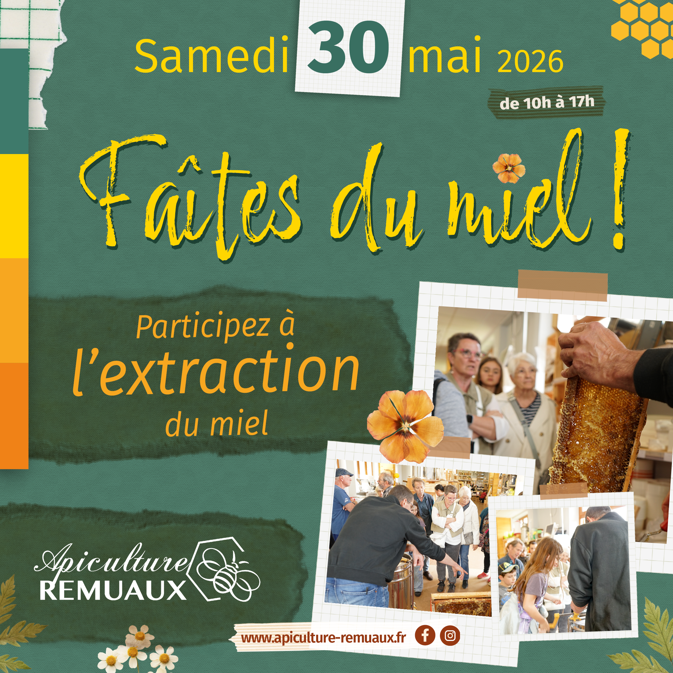 Extraction du miel en direct
