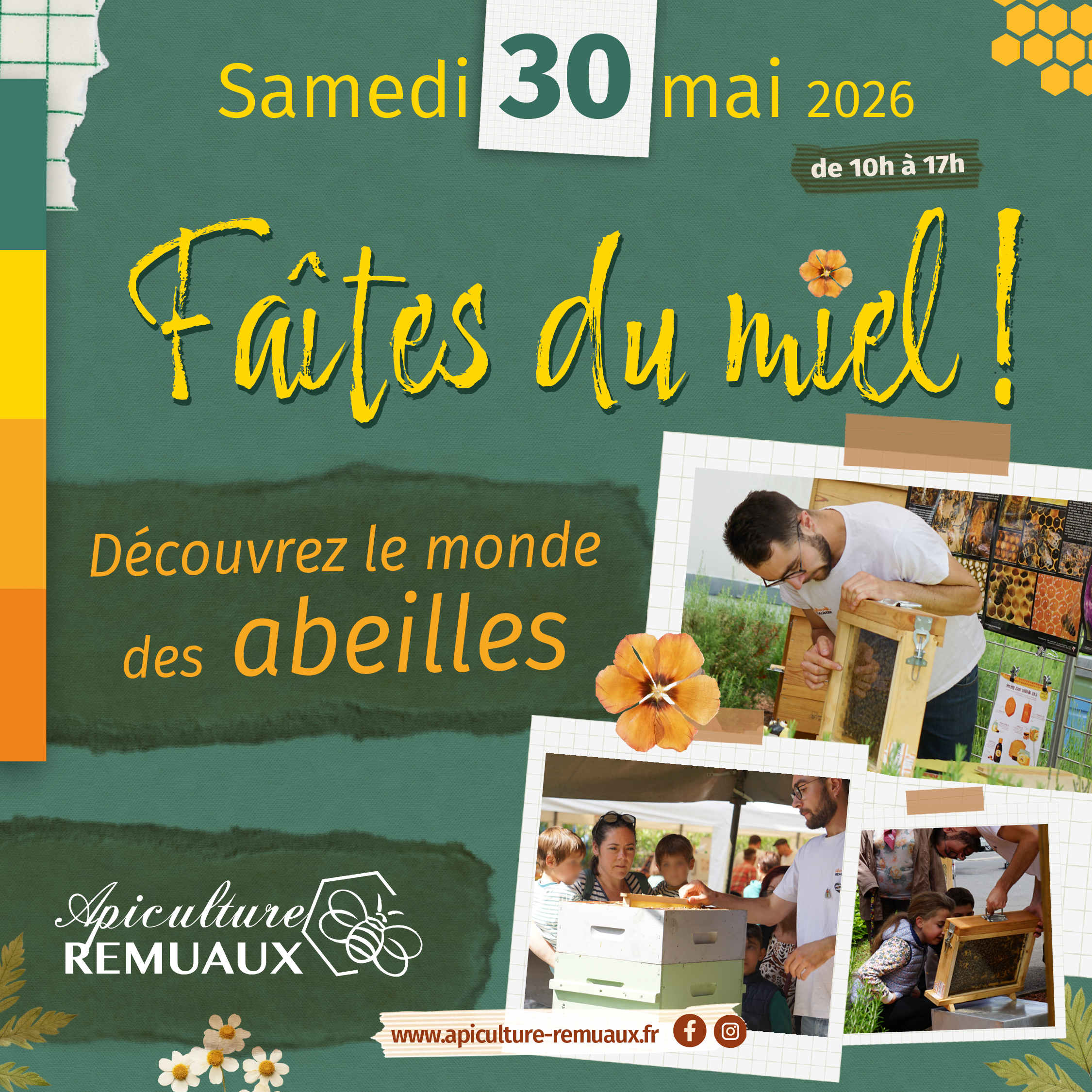 Découverte du monde des abeilles