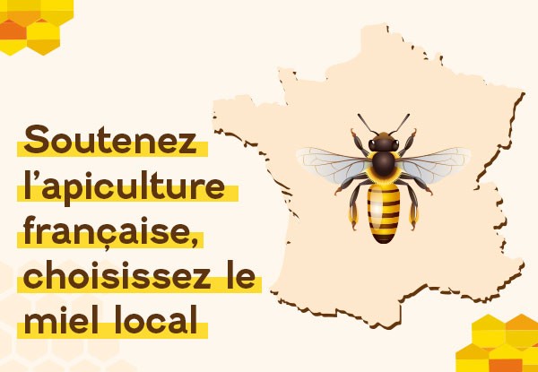 La crise du miel : enjeux et solutions pour l'apiculture française