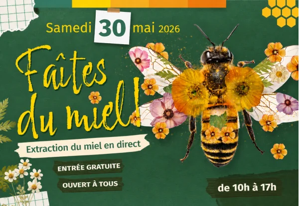 Faites du Miel 2026 : participez à l’extraction du miel le 30 mai à Saint-Juéry