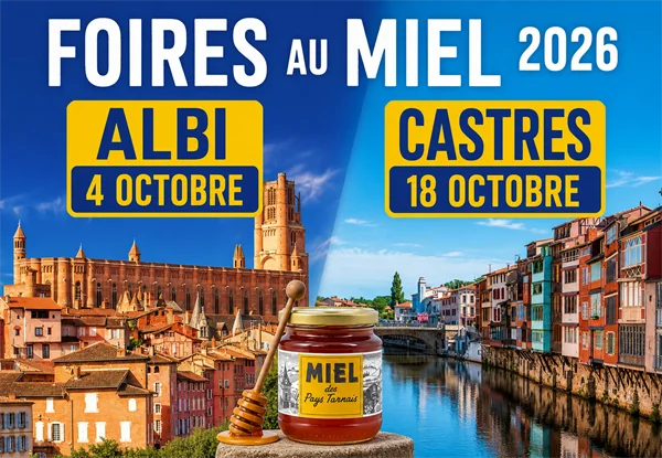 Foires au miel 2026 à Albi et Castres : deux rendez-vous avec l’apiculture tarnaise