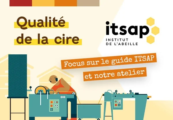 Cire d’abeille : notre savoir-faire dans le guide technique de l’ITSAP